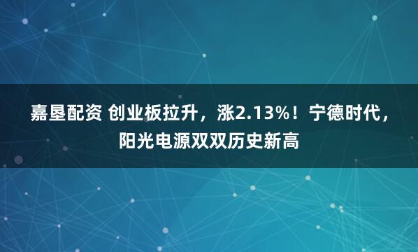嘉垦配资 创业板拉升，涨2.13%！宁德时代，阳光电源双双历史新高